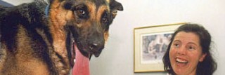 Veterinary Acupuncture for Dogs & Cats