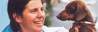 Veterinary Acupuncture for Dogs & Cats